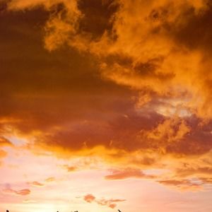 Meet your Posher, Alexandria marie